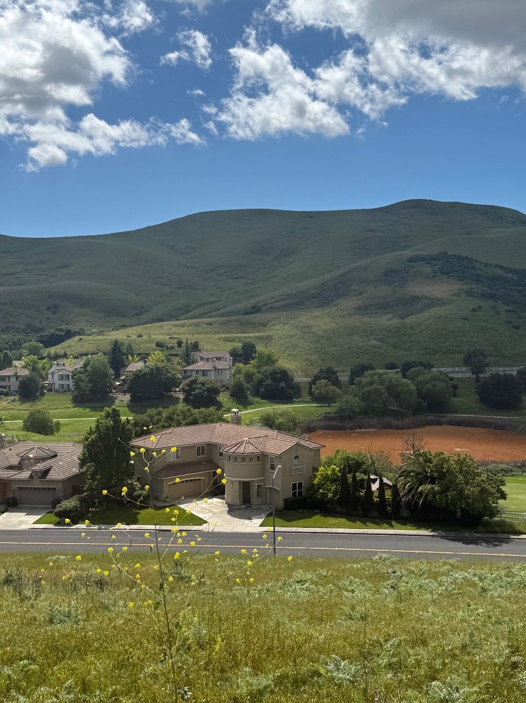 Navigating the Bay Area’s Luxury Real Estate Market